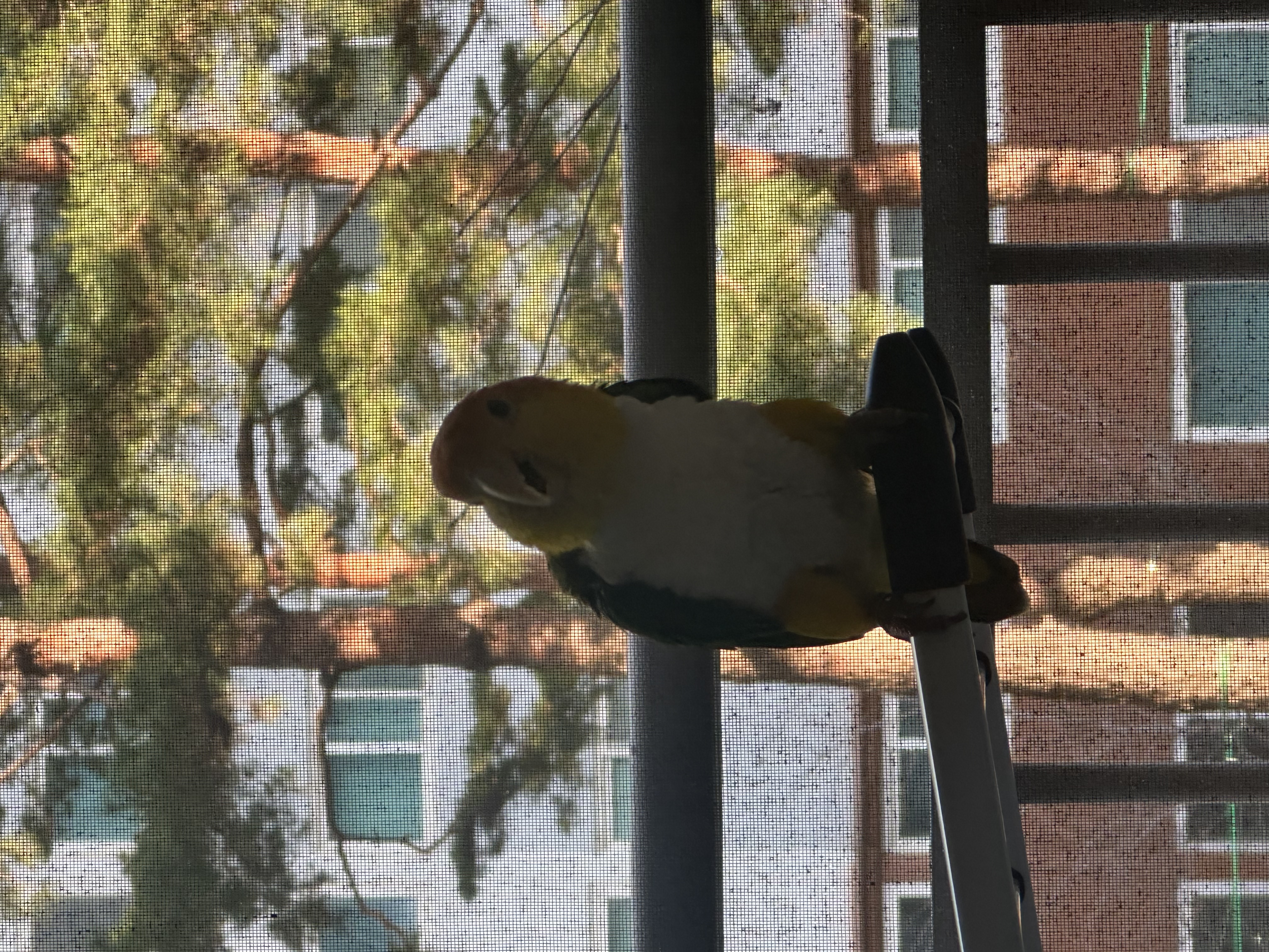 좋은 분양자 찾기